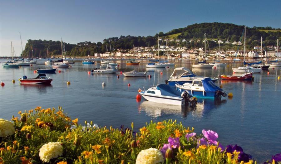 Sunnybrook - A Luxurious Carbon Neutral House Close To Beach, Shaldon Buitenkant foto