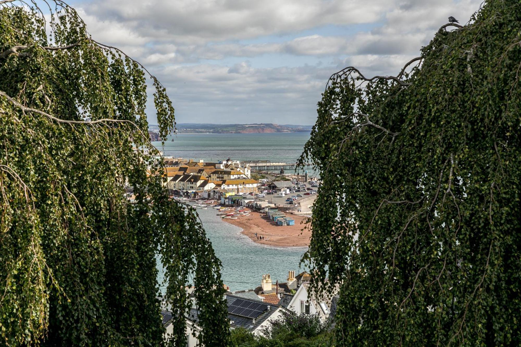 Sunnybrook - A Luxurious Carbon Neutral House Close To Beach, Shaldon Buitenkant foto