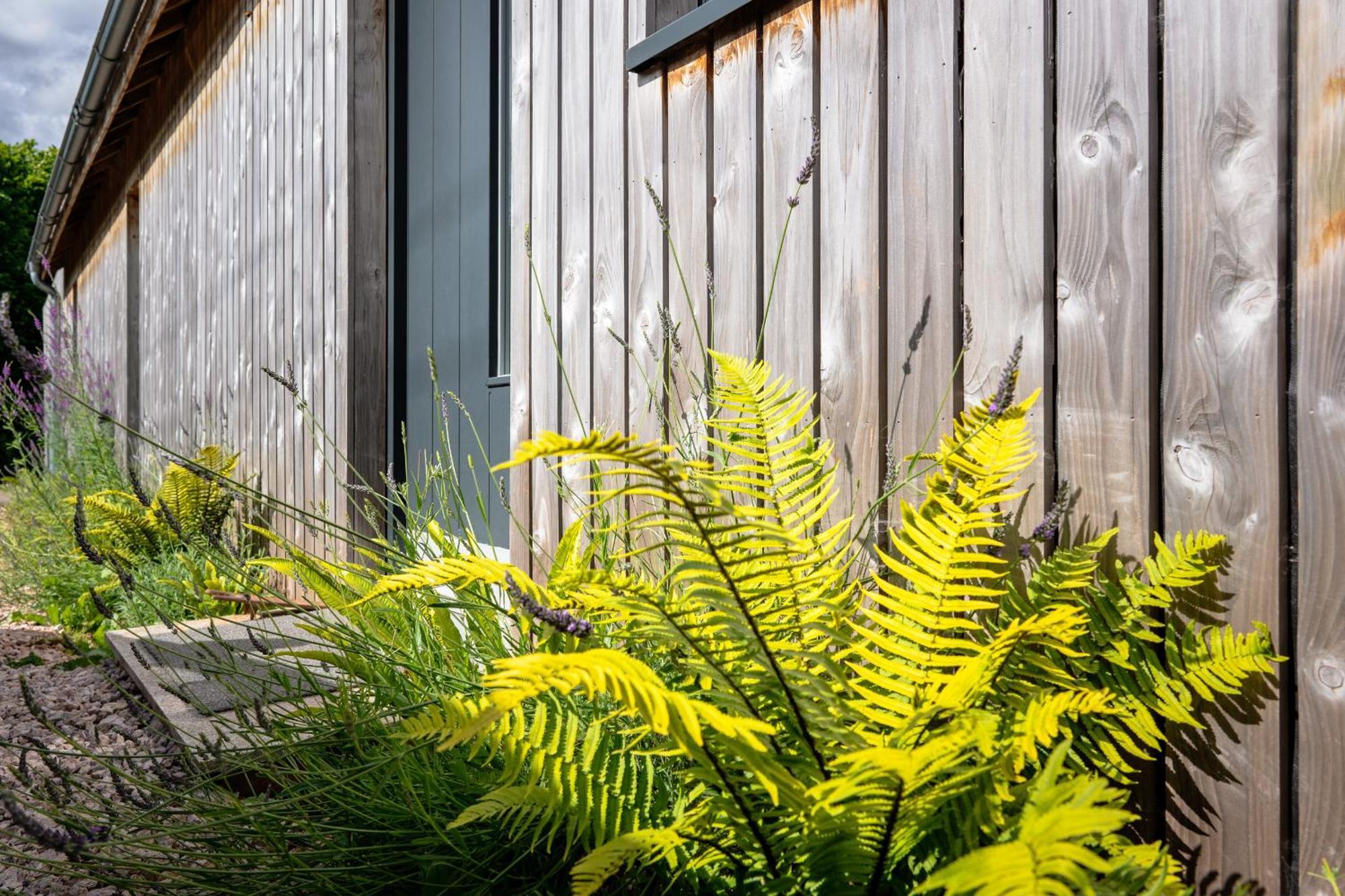 Sunnybrook - A Luxurious Carbon Neutral House Close To Beach, Shaldon Buitenkant foto